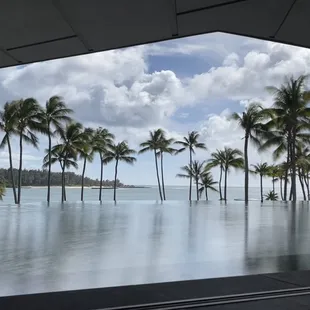 Beautiful views and crafted drinks!