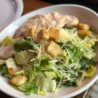 Garlic Caesar Salad Lunch