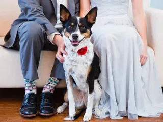 The Bendora Wedding Gallery