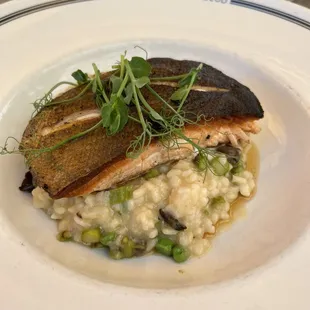 Salmon Risotto