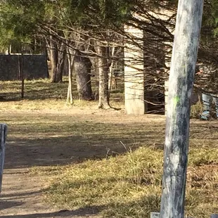 In action shot. It is tougher to quickly spot people &amp; shoot them, than it initially looks.