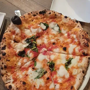 Regina Margarita Pizza