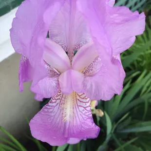 Such a soft color, but amazing textures!