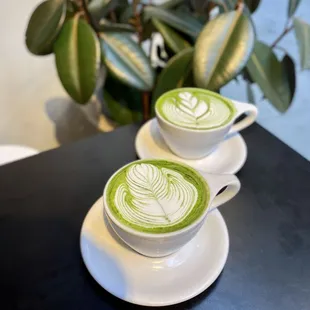 Matcha Latte