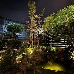 a garden at night