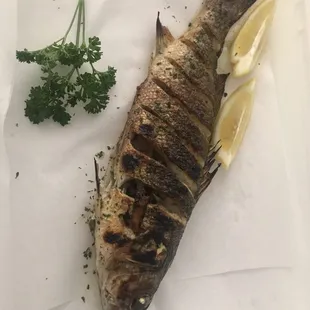 Grilled Sea Bass