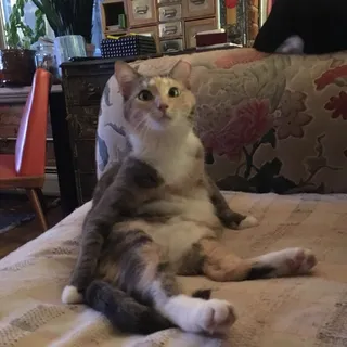 Sarah R.