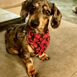 It's me again, Buoy is my name, watersports is my game! See ya on the water, OH BUOY, I can hardly wait!