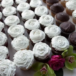 laurel made about 175 jumbo cupcakes with 4 different flavors for our wedding. photo taken by alfred and emma photography