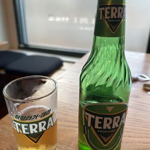 Korean beer-Terra