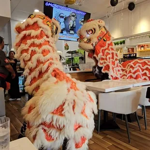 Grand opening lion dance celebration