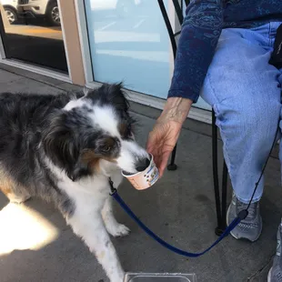 We have yogurt for dogs too!