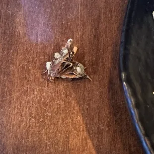 Whole cinnamon pieces in rice