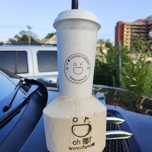 Ohye Coconut slushie