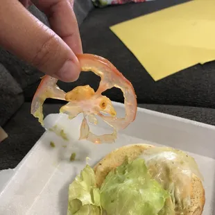 Tomato "slice" I think not.