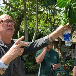 Private tour in Kane'ohe given by Kawaikapuokalani Hewett.