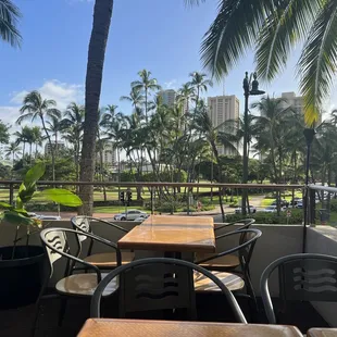 View of the park from the deck.