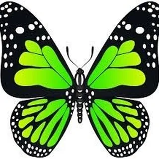 Green butterfly E.