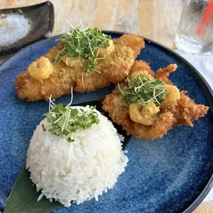 Aloha Fish