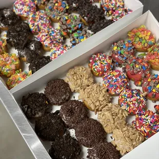 Ohanalulu - Party Pack