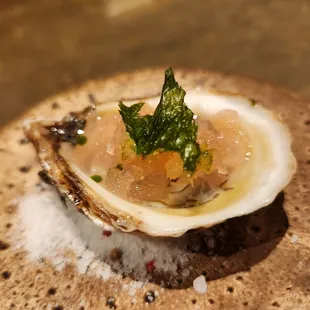 a close up of a oyster