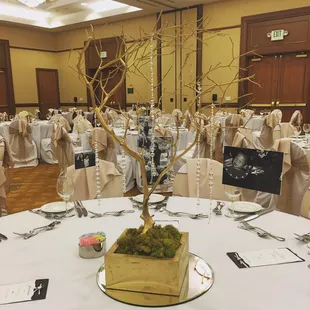 Double Cotillion Gold Theme Centerpieces