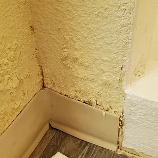 The paint in the bathroom is bubbling and molding badly