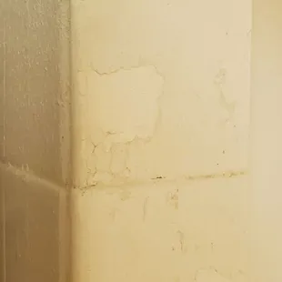 Shower tiles appear to have been painted and now flaking?