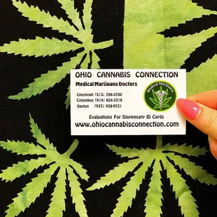 Ohio Cannabis Connection