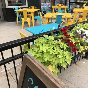 Flowers on front patio