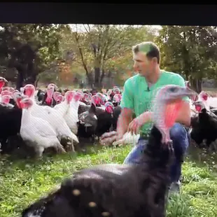We got a whole tour of the farm where the turkeys are raised and an overview of how they're fed and cared for.