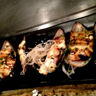 Green Mussel
