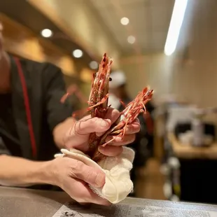 Spot prawn, 100/10!!! $19 each, worth it