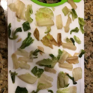 Lettuce leaves I didn&apos;t eat. Created after landing and getting back.