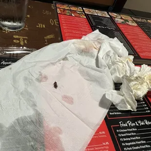 Beetle/roach with menu from restaurant for proof it was taken at said restaurant.