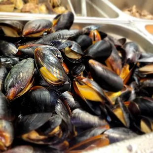 Yummy mussels looked so fresh!