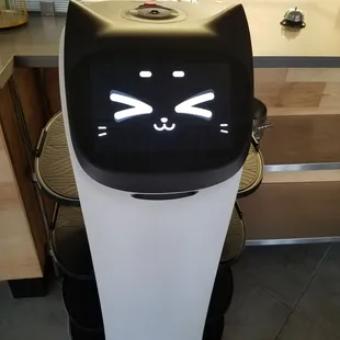 The robot server was super cute, my kids loved petting it. (Yes, you can actually pet it!)