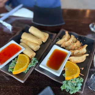 Chicken Gyoza &amp; Spring Rolls
