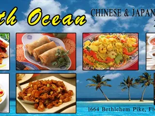 New South Ocean Chinese & Japanese Restaurant