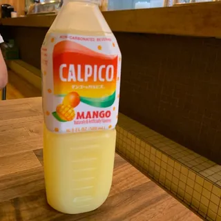 Calpico Bottle