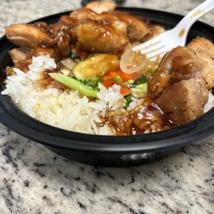 Teriyaki chicken don