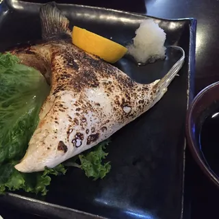 Yellowtail