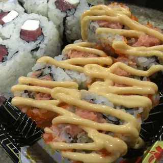 Salmon