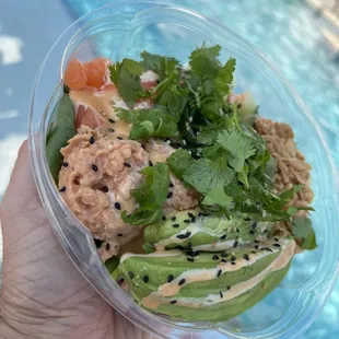 Spicy Tuna and Salmon Poke Bowl