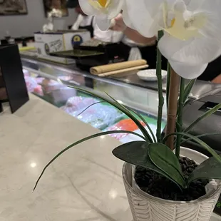 interior, sushi and sashimi