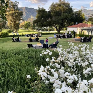 people relaxing in the garden