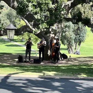 a group of musicians playing in a park