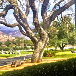 View from The Oaks at Ojai Valley Inn