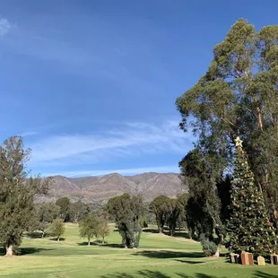 a golf course with trees and mountains in the background