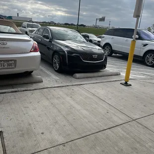 Handicapped violations